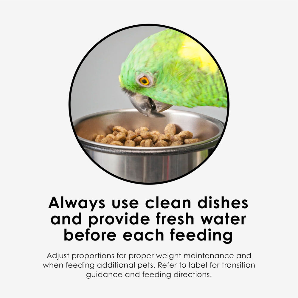 Kaytee Nutri Soft offre une nutrition complète adaptée aux besoins quotidiens des oiseaux.