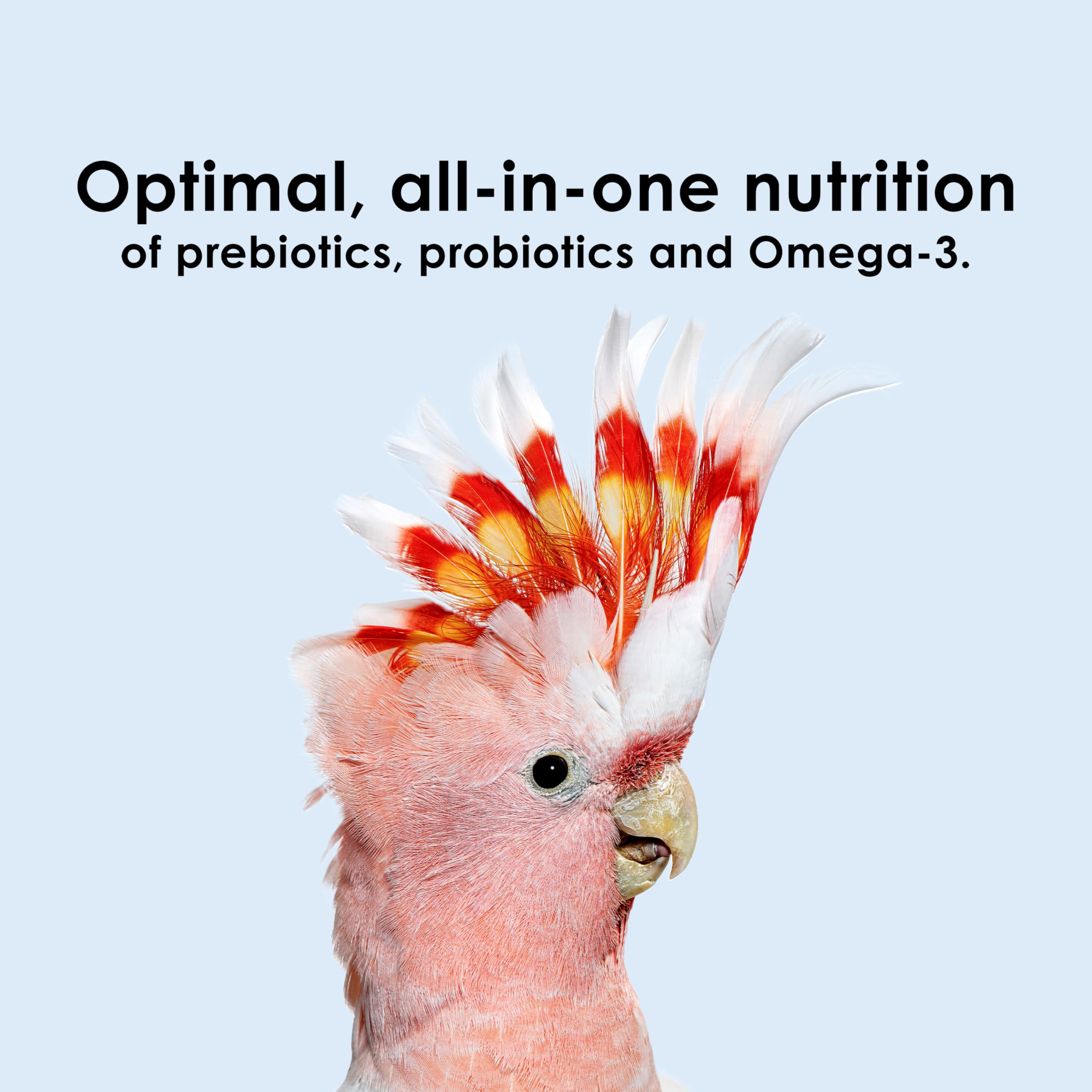 Sans colorants ni arômes artificiels, Kaytee Nutri Soft naturelle.