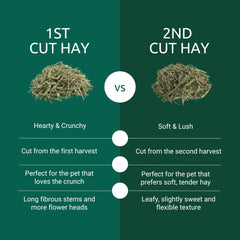 Kaytee Foin Timothy Première Coupe Ballot – fibres longues et brins nets favorisant la mastication.