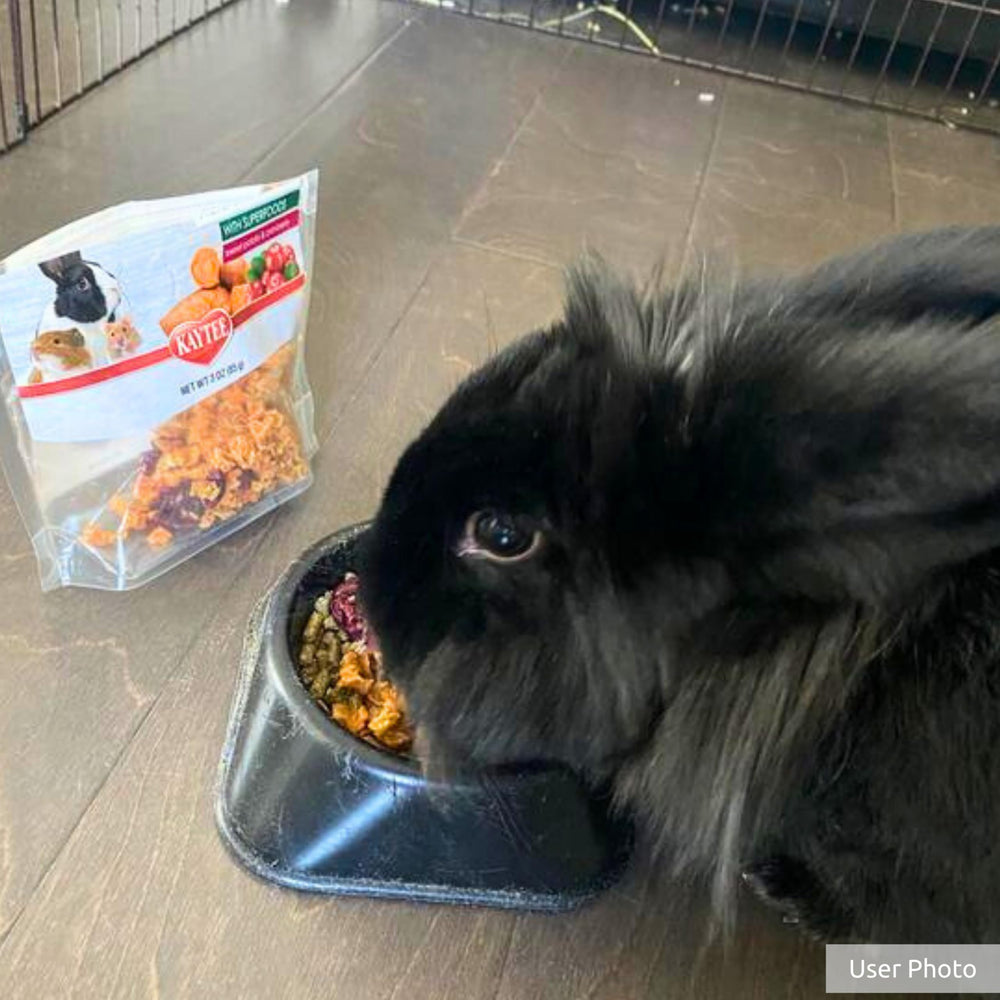 Kaytee Snack en tant qu'enrichissement savoureux, stimulation mentale et gustative.