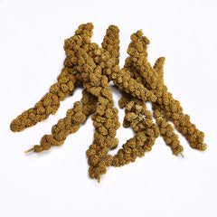 Attache Kaytee Spray Millet permettant d'accrocher près d'un perchoir.
