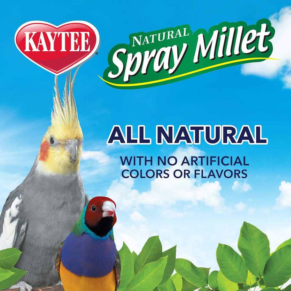 Kaytee Spray Millet favorise l'enrichissement par la recherche alimentaire.