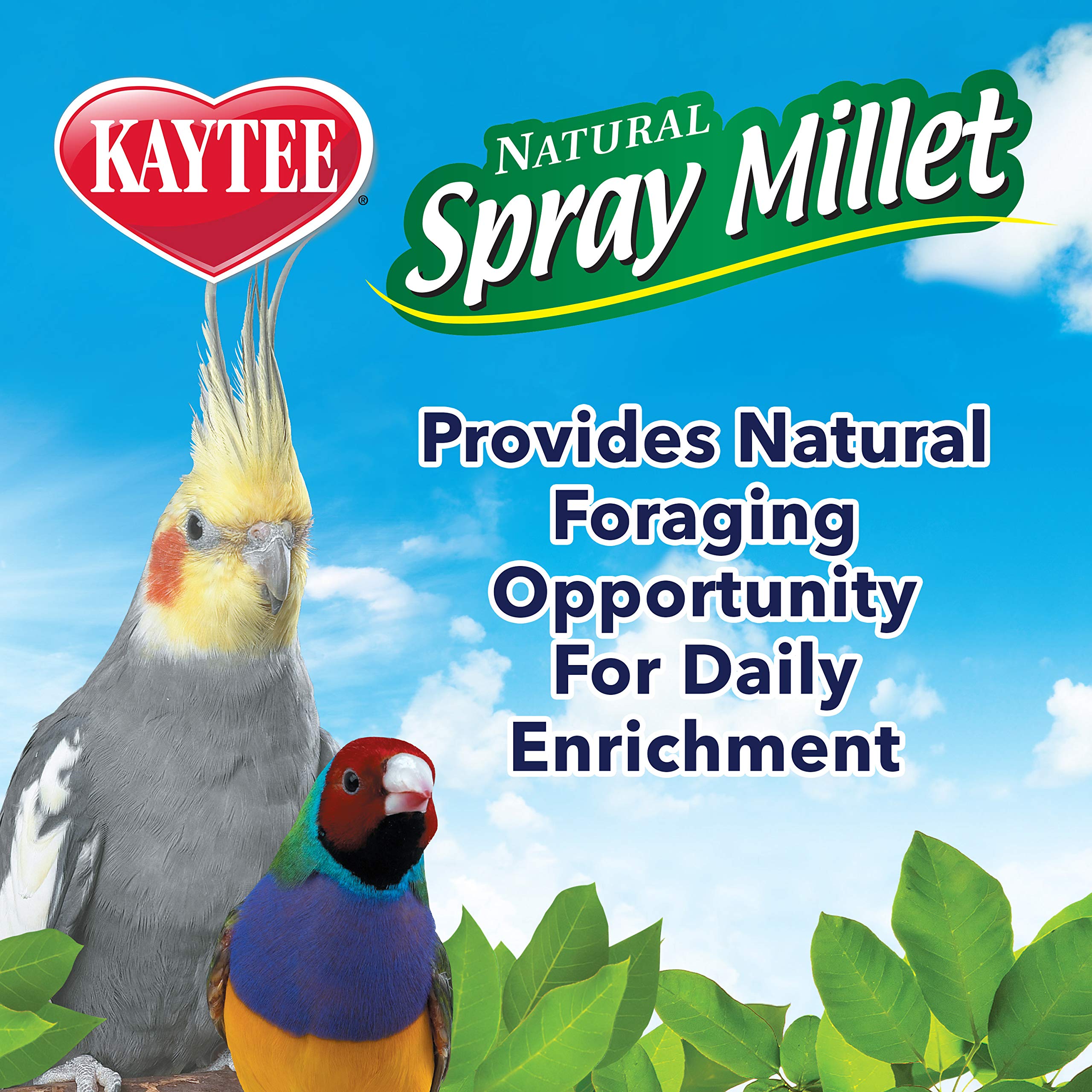 Kaytee Spray Millet pour oiseaux en croissance, soutien au sevrage.