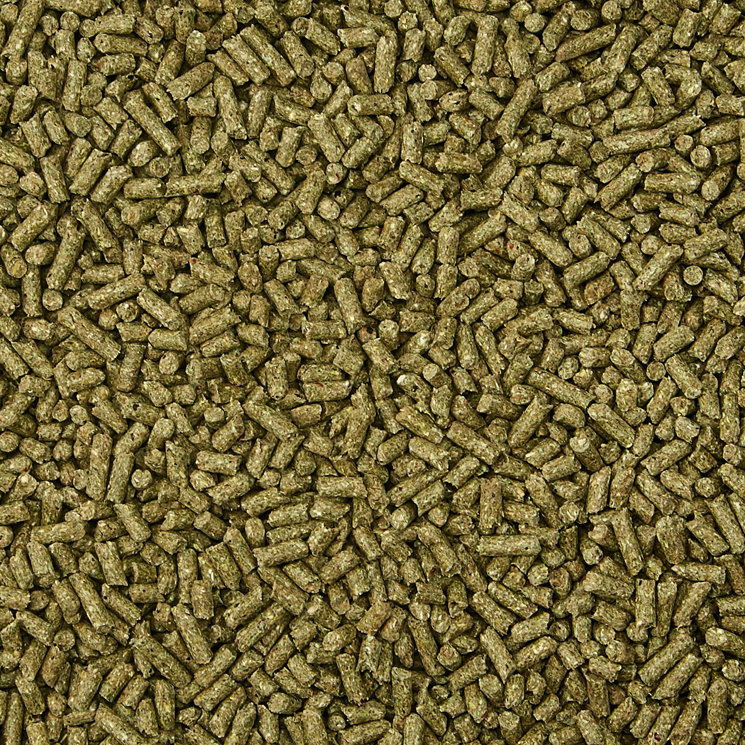 Ingrédients de haute qualité Kaytee Supreme, base nutritive.