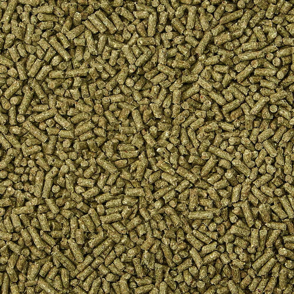 Ingrédients de haute qualité Kaytee Supreme, base nutritive.