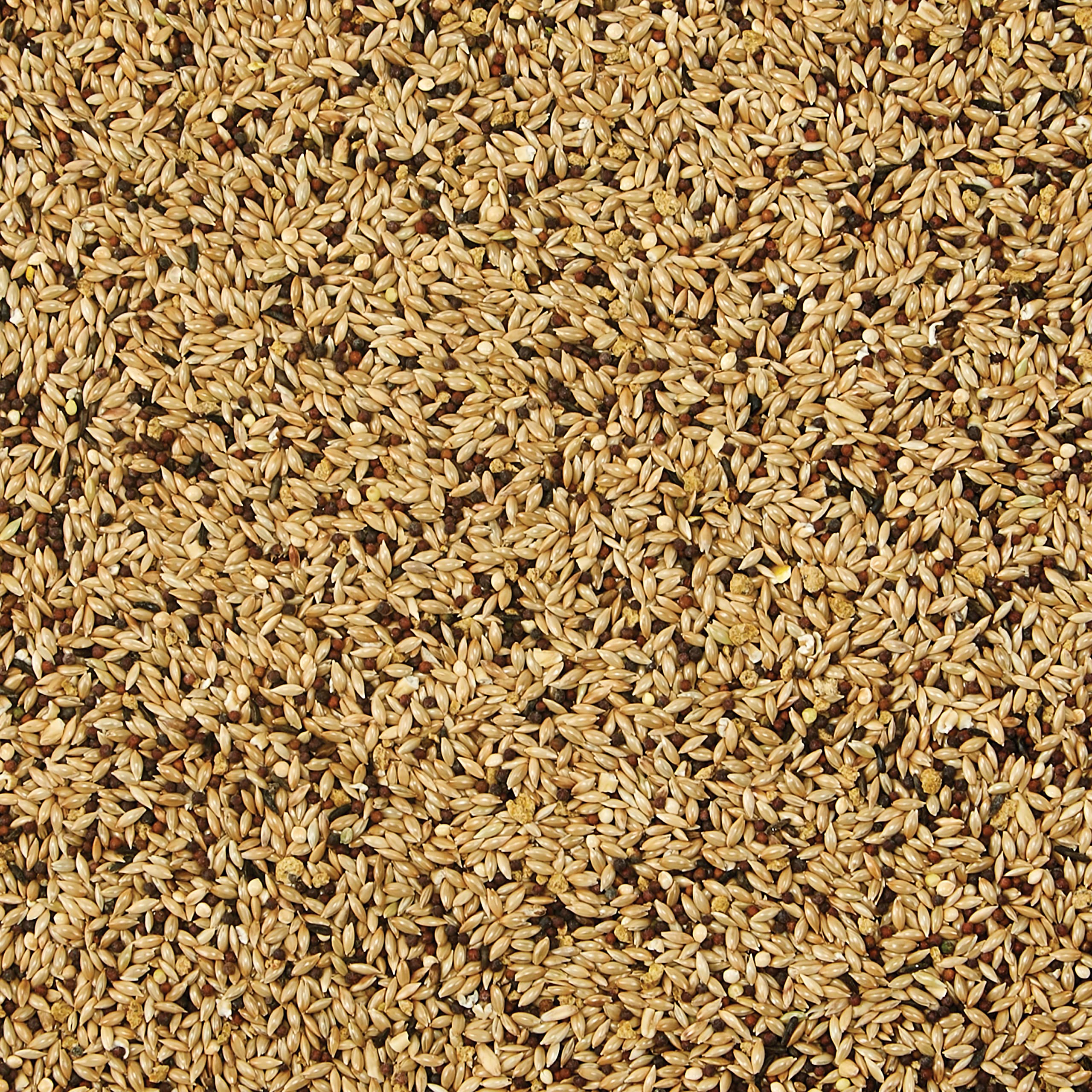 Kaytee Supreme – mélange grains et graines pour une alimentation variée et naturelle.