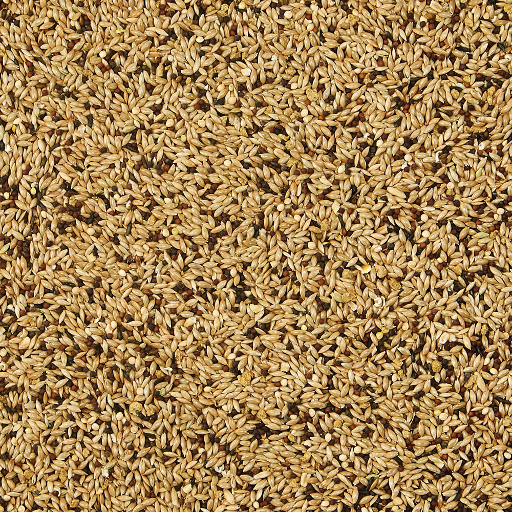 Kaytee Supreme – mélange grains et graines pour une alimentation variée et naturelle.