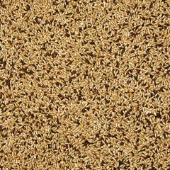Kaytee Supreme – mélange grains et graines pour une alimentation variée et naturelle.