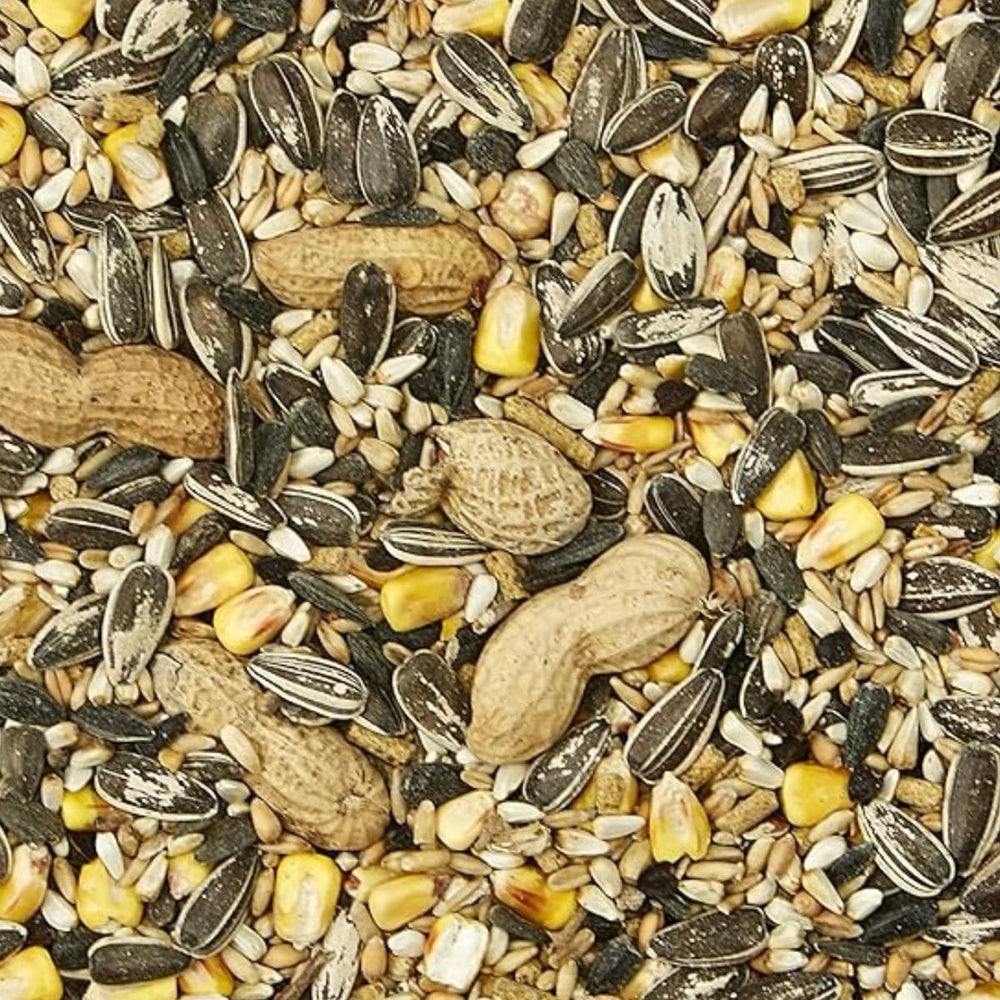 Kaytee Supreme : mélange fortifié pour le bien-être quotidien de votre perroquet
