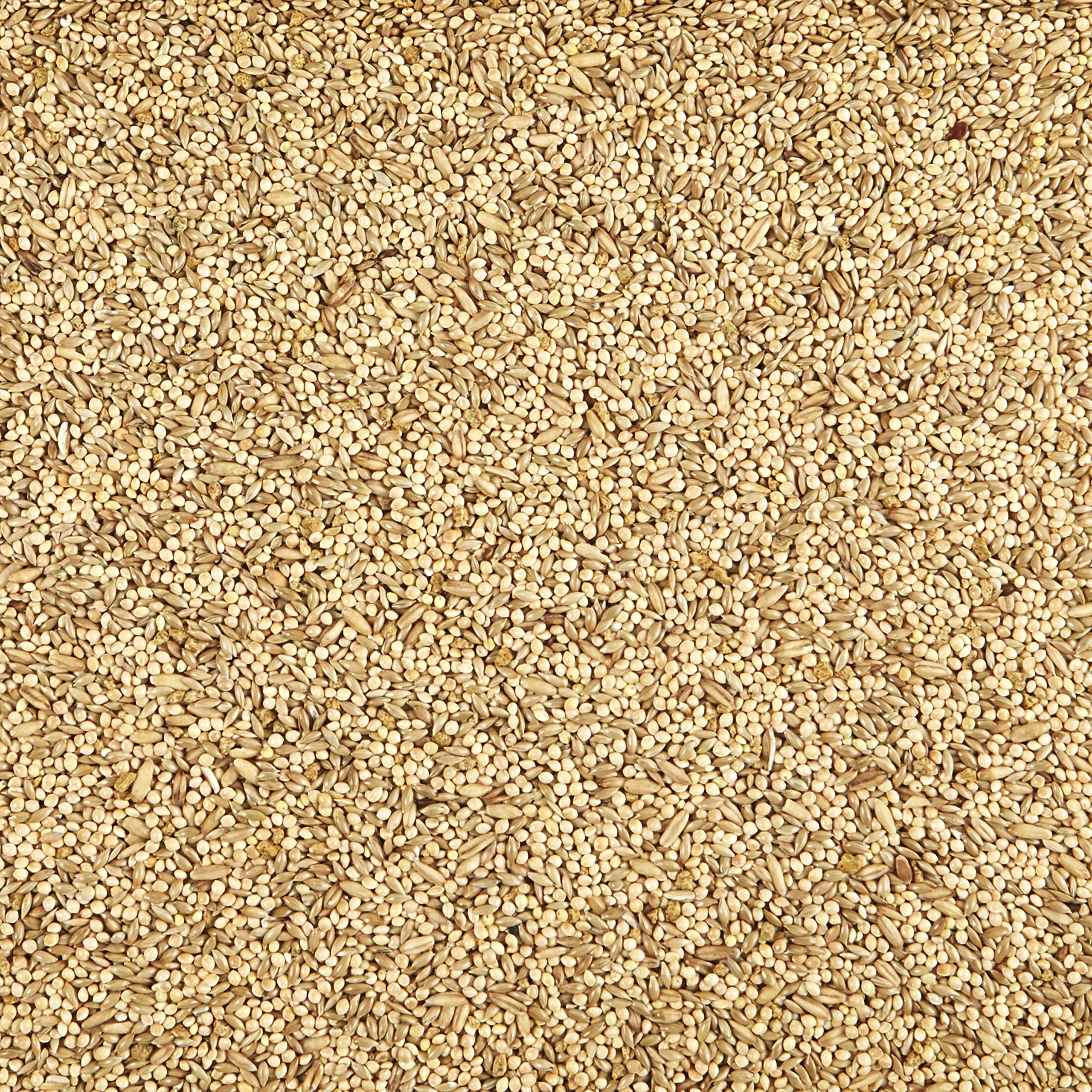 Mélange Kaytee Supreme de grains et graines naturelles pour l'enrichissement.