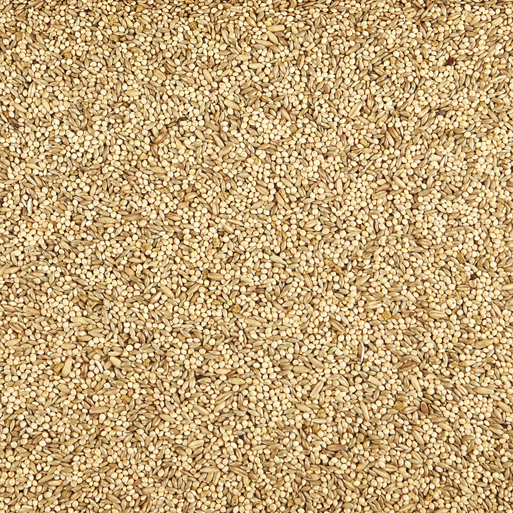 Mélange Kaytee Supreme de grains et graines naturelles pour l'enrichissement.