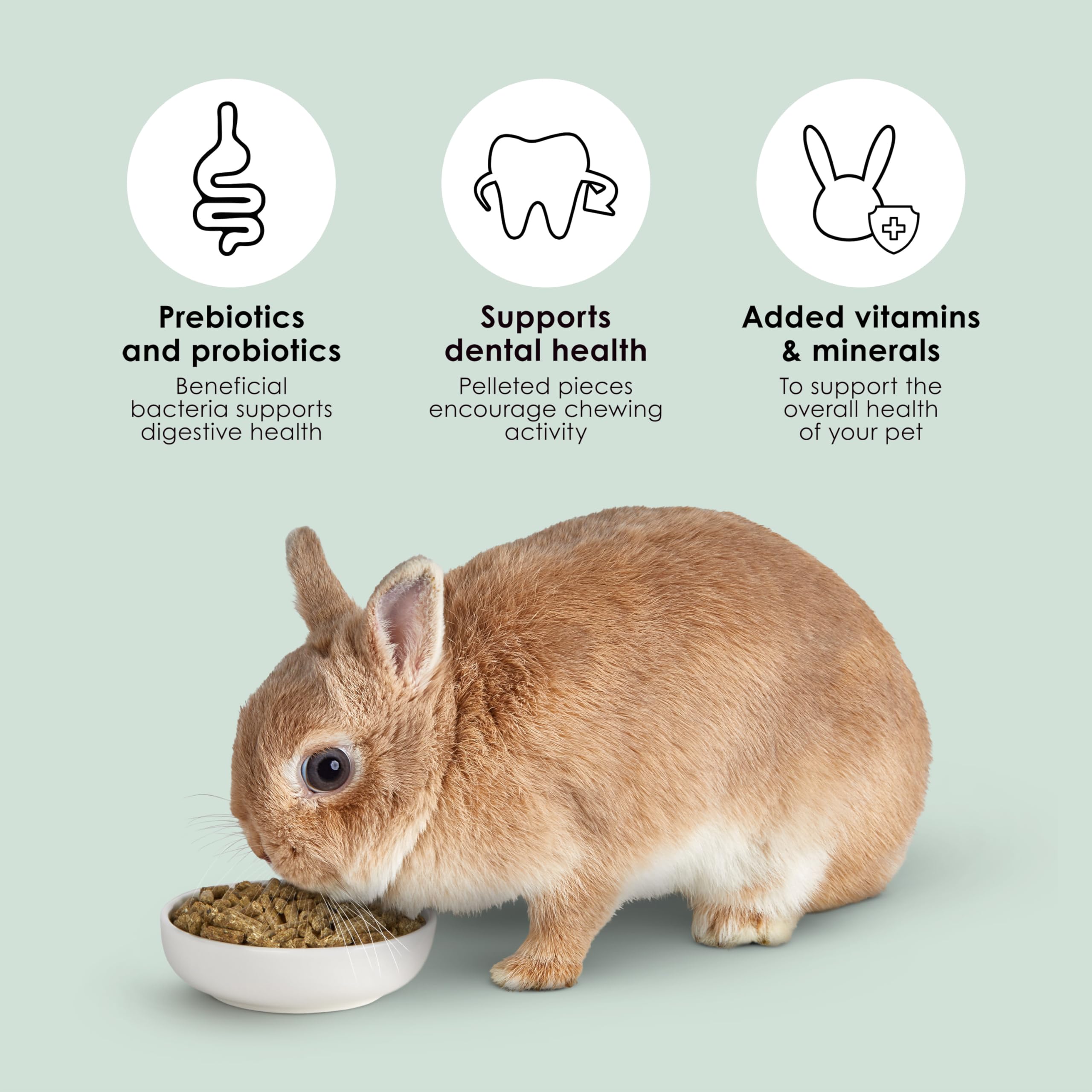 Kaytee Timothy Complete qualité d'experts en alimentation animale.