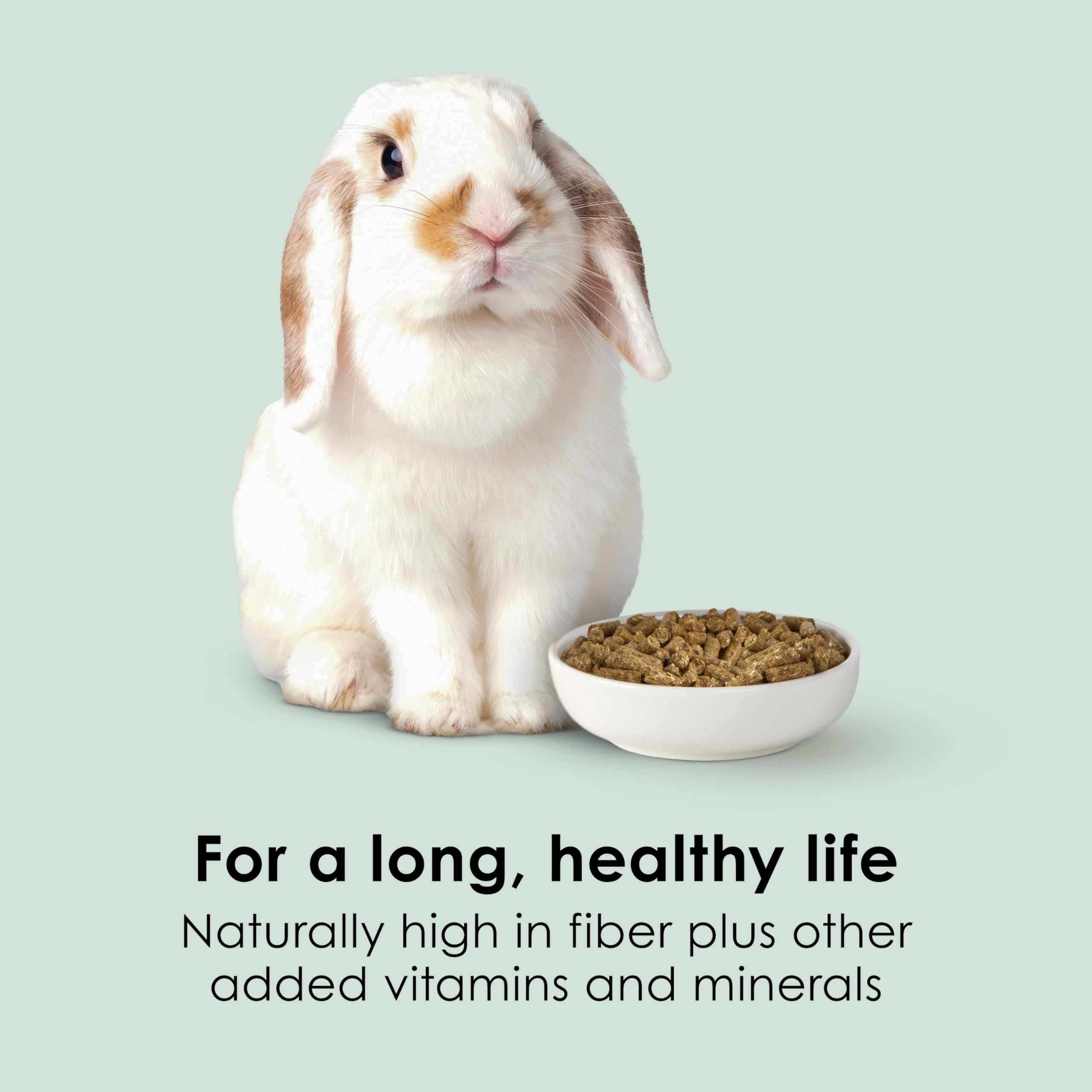 Kaytee Timothy Complete mâchage naturel pour soutenir la santé dentaire du lapin.