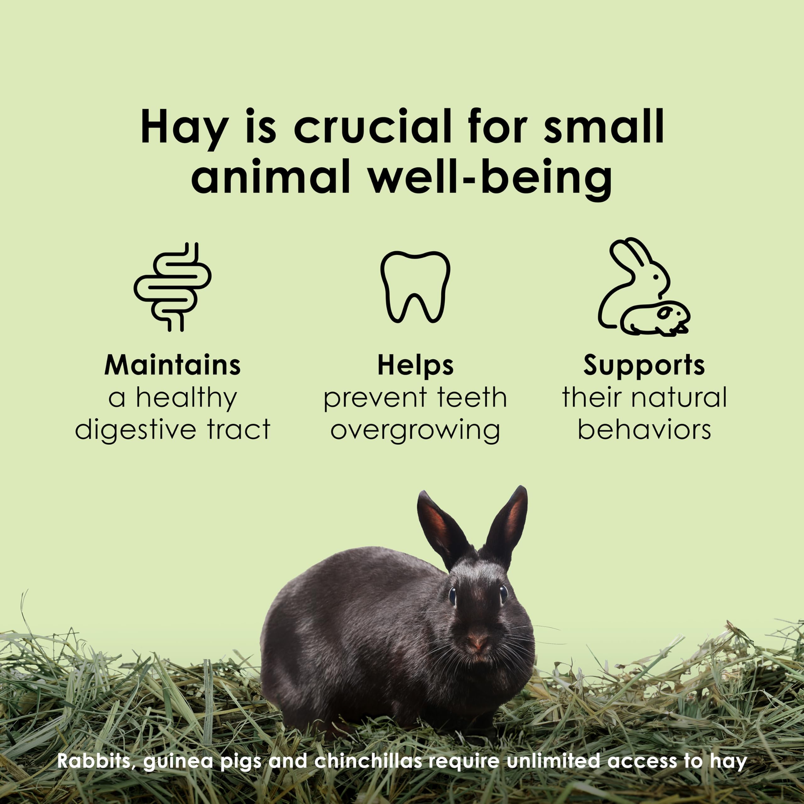 Kaytee Timothy Hay : emballage frais, pratique à stocker.
