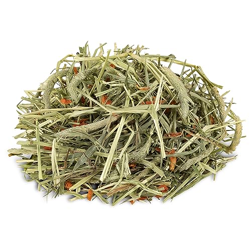 Kaytee Timothy Hay Plus Carrots conditionnement 680 g pratique à stocker