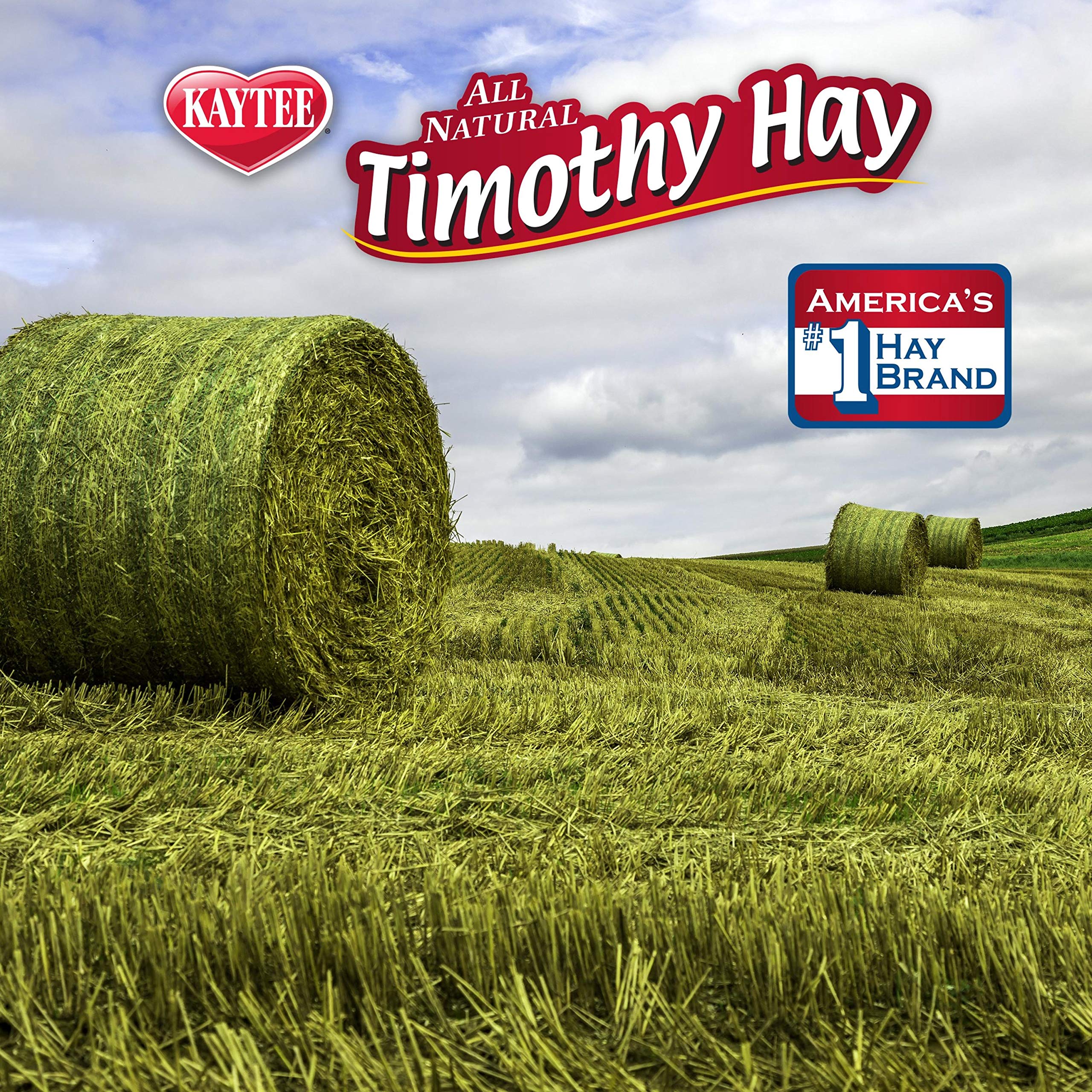 Kaytee Timothy Hay Plus Carrots haute fibre pour alimentation équilibrée