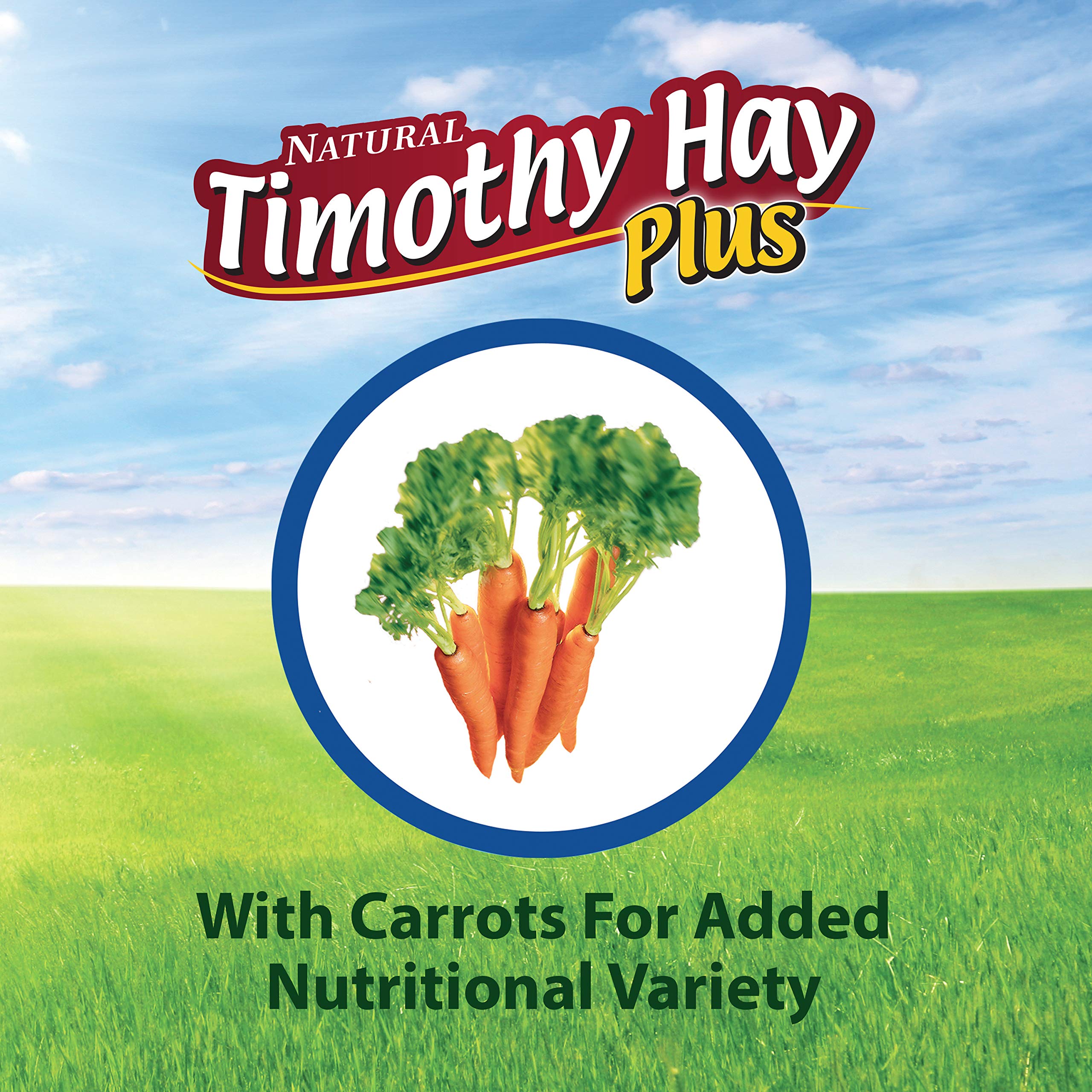 Kaytee Timothy Hay Plus Carrots naturel sans pesticides