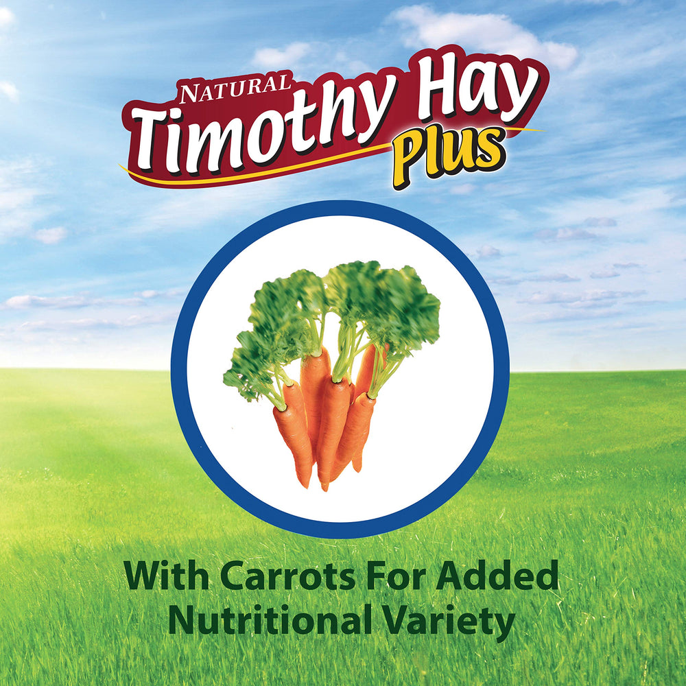 Kaytee Timothy Hay Plus Carrots naturel sans pesticides