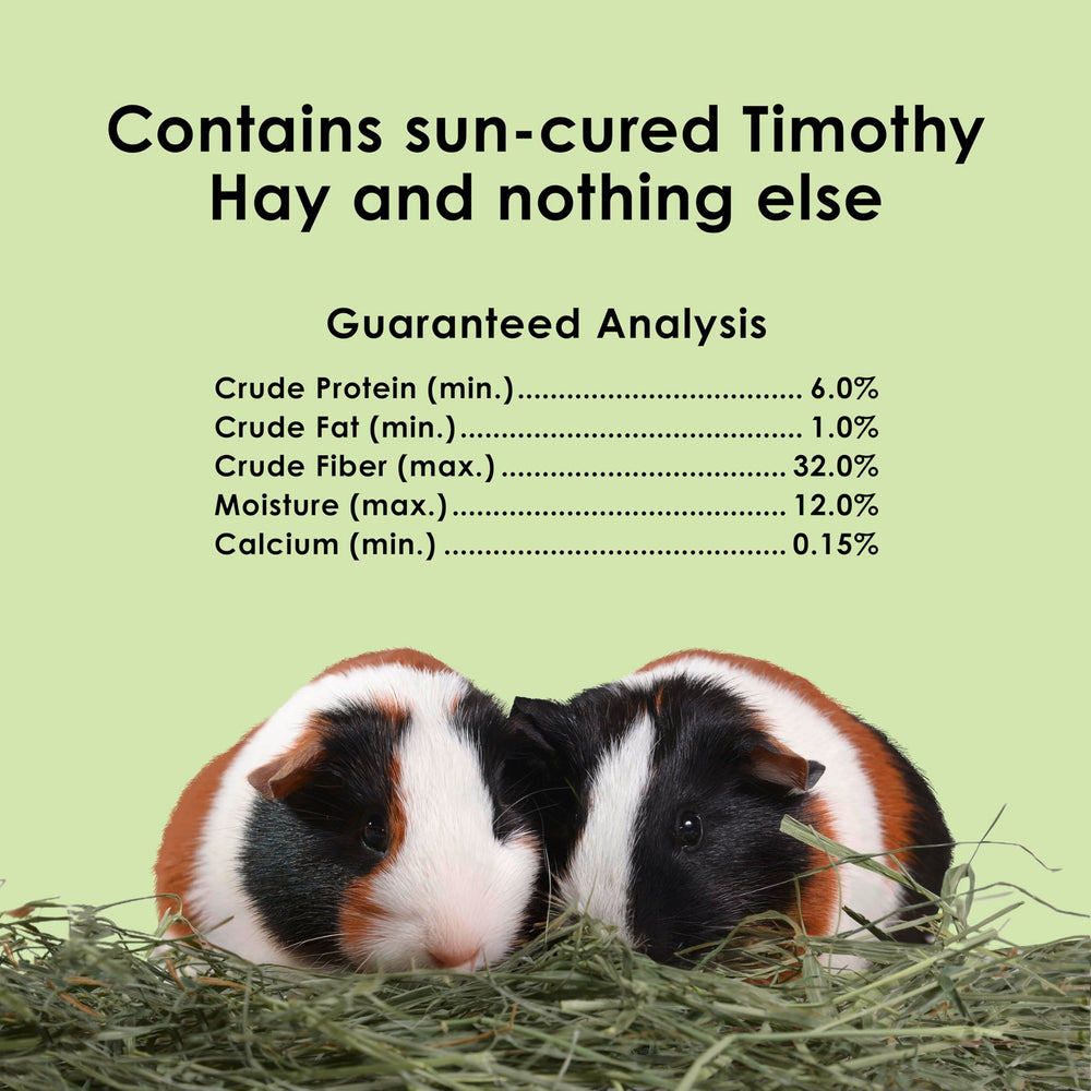 Kaytee Timothy Hay – destiné lapins et cobayes avec goût naturel.