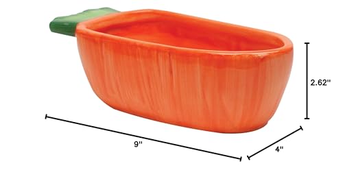 Kaytee Vege-T-Bowl : bol de 22 onces idéal pour nourriture ou eau.