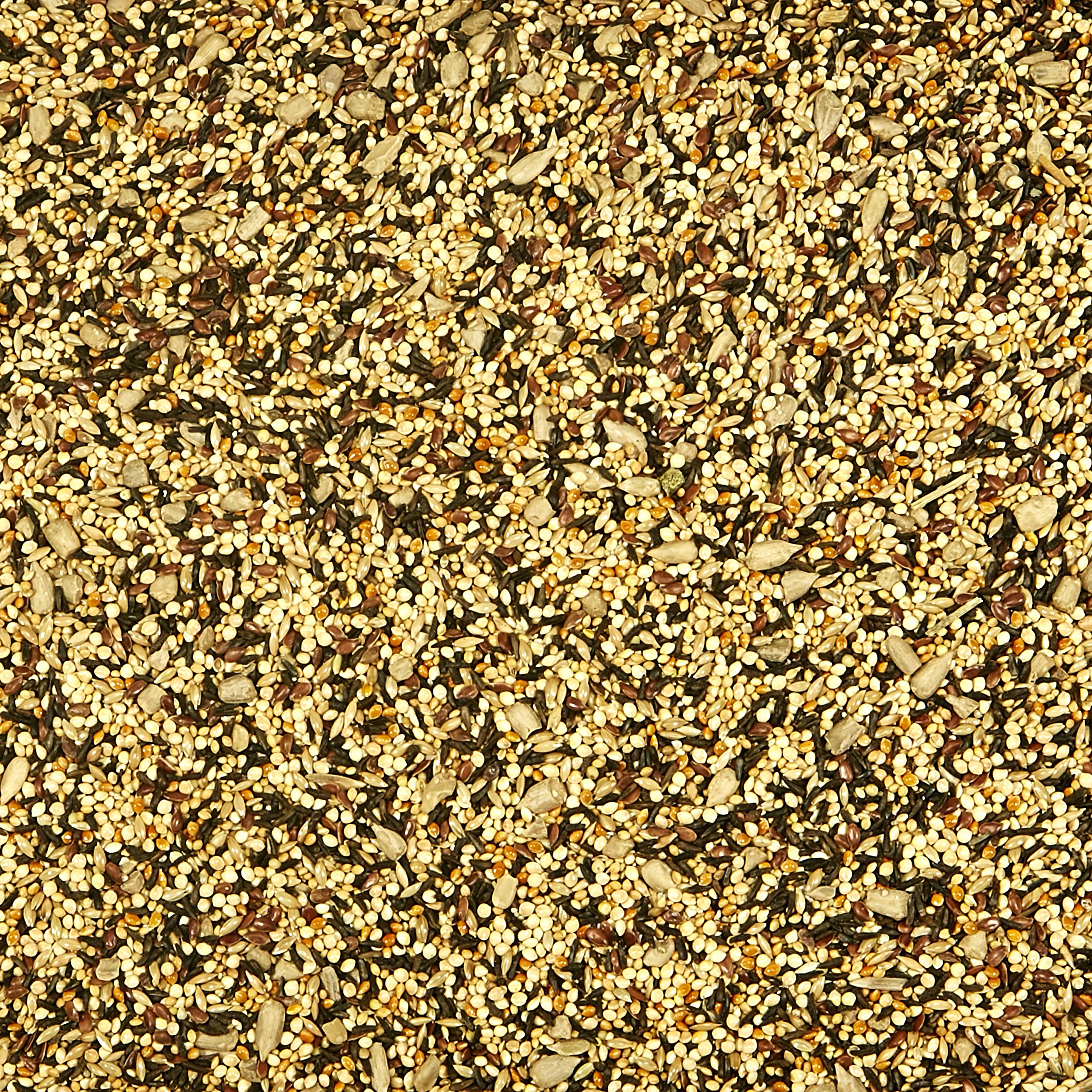 Kaytee Wild Finch Blend, mélange de petites graines.