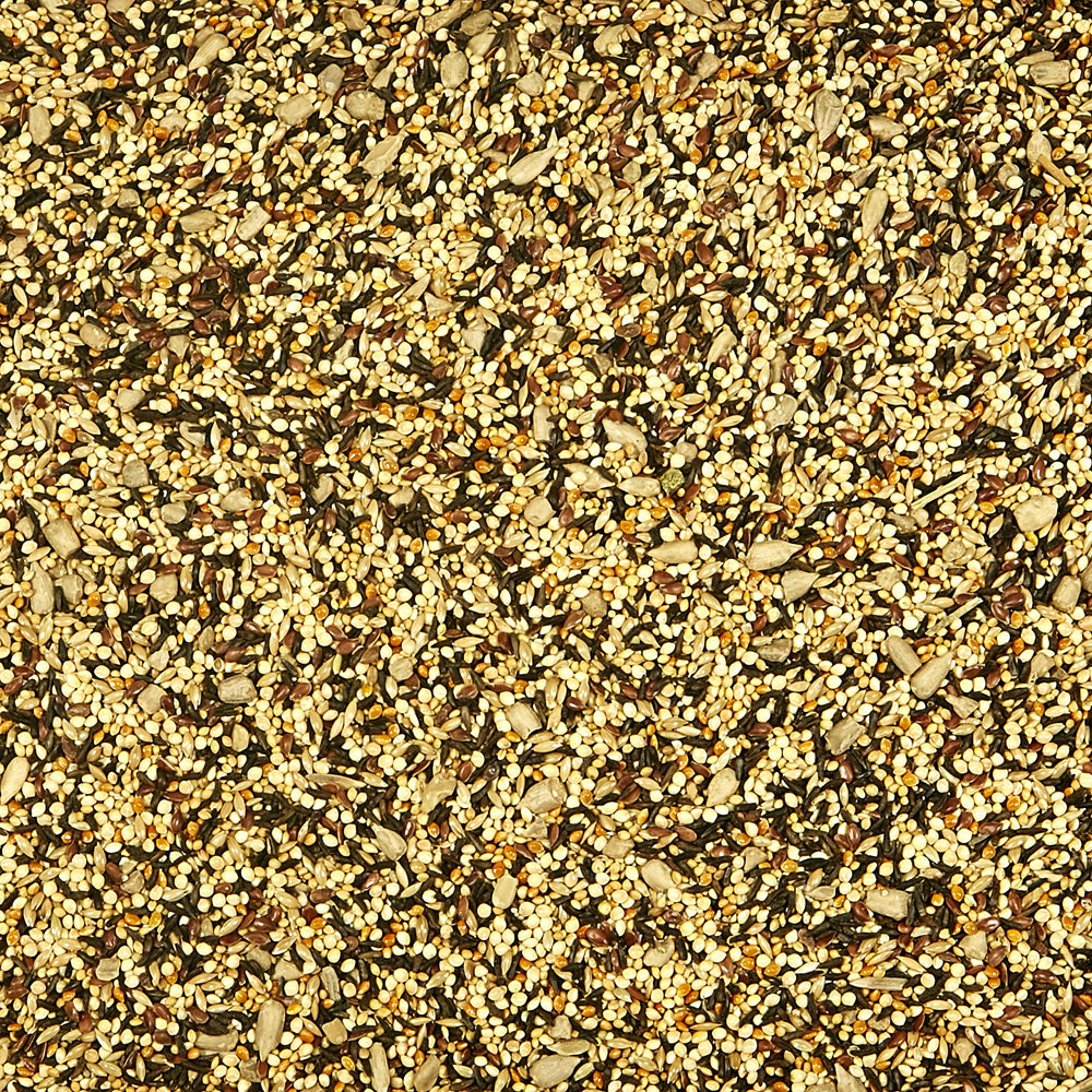 Kaytee Wild Finch Blend, mélange de petites graines.