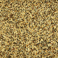Kaytee Wild Finch Blend, mélange de petites graines.