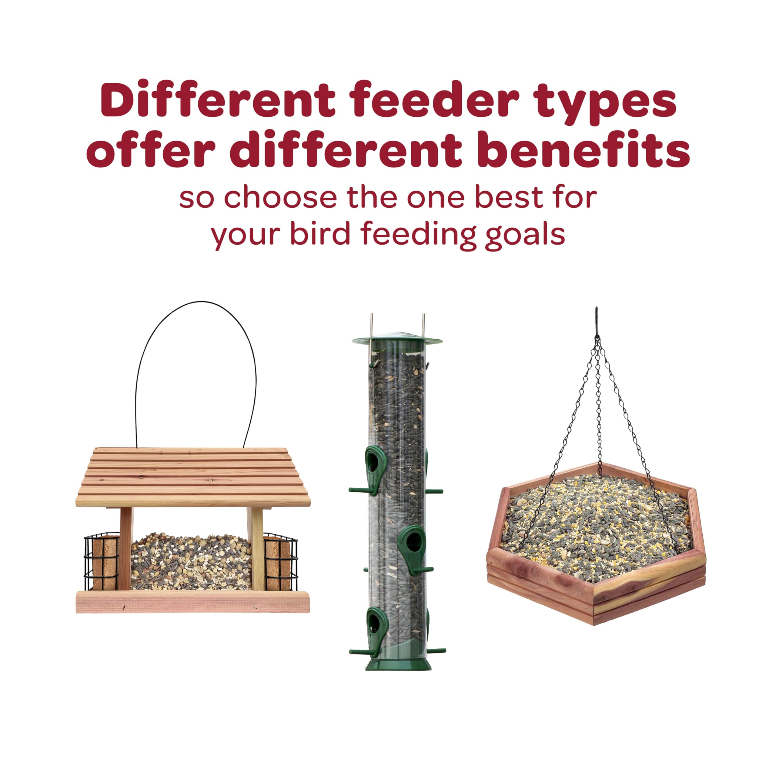 Kaytee Wild Finch Blend, morceaux de tournesol, énergie rapide pour les oiseaux.