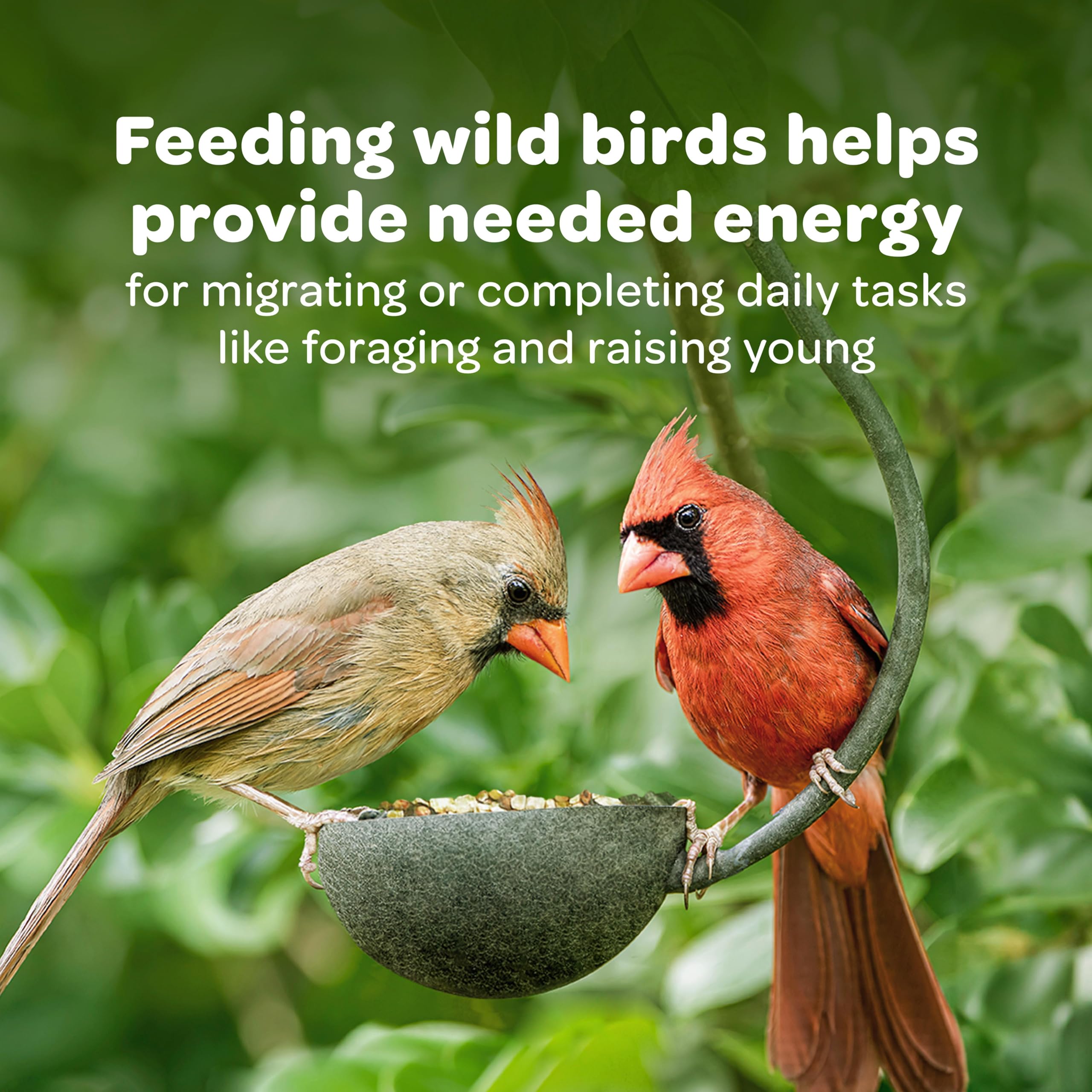Kaytee Wild Finch emballage pratique, stockage et service faciles.