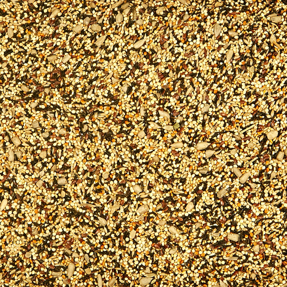 Kaytee Wild Finch graines nyjer, adaptées pour becs actifs.