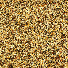 Kaytee Wild Finch graines nyjer, adaptées pour becs actifs.
