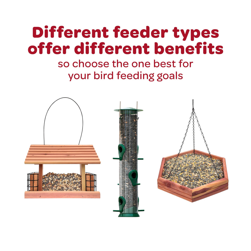 Kaytee Wild Finch millet trois types, variété nutritionnelle.