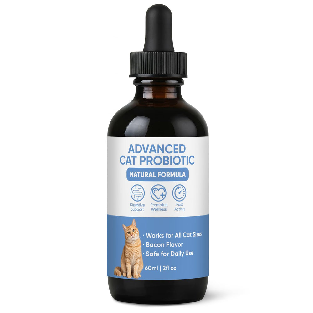 KBKTWOLT gouttes probiotiques saveur bacon en bouteille pour chats, soutien digestif