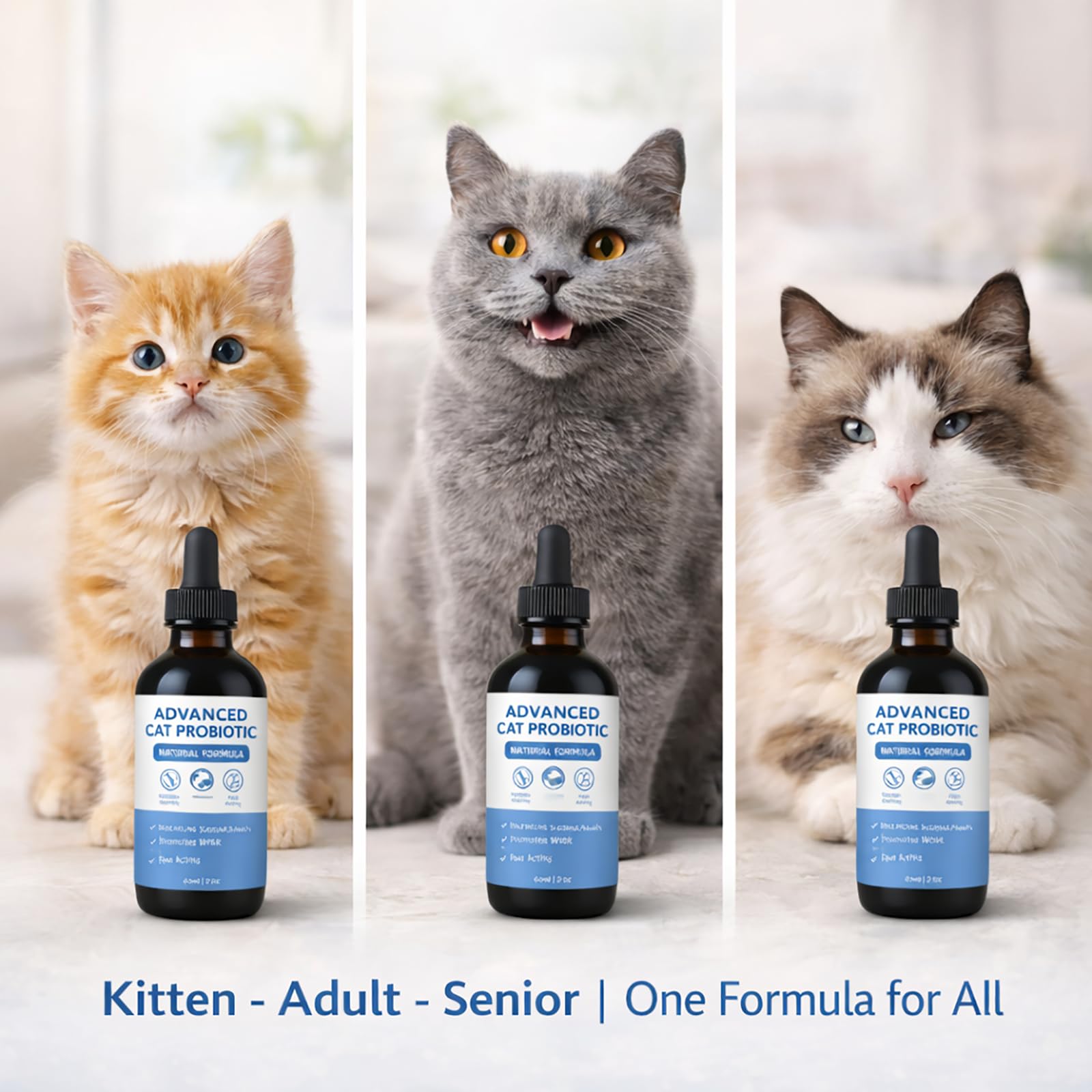 Flacon pratique de 60 ml, dosage facile pour tous les chats