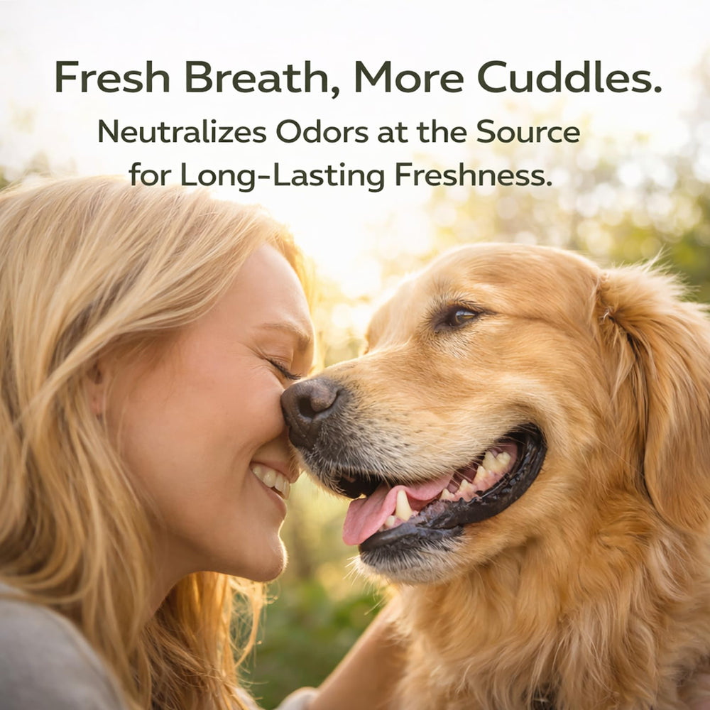 Microbiome buccal du chien soutenu par KBKTWOLT.