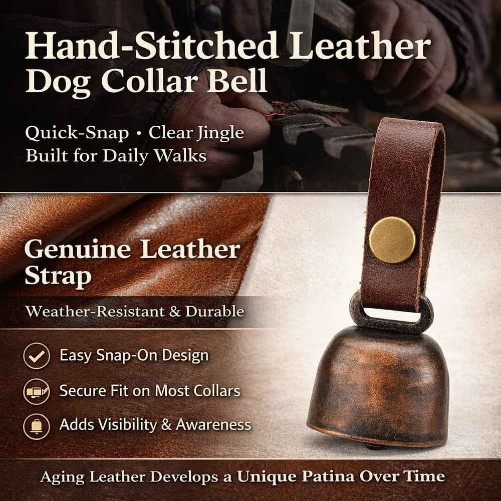 Cuir plein grain véritable, collier durable et confortable pour chien