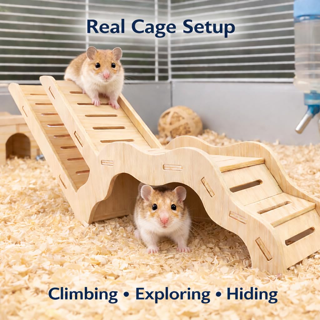 kcrygogo Hamster Explorer: cabane-regard pour observer et se reposer.