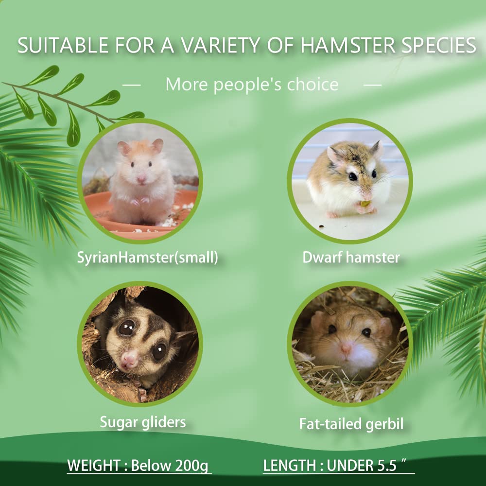 kcrygogo Hamster Explorer: emballage soigné et guide d'installation inclus.