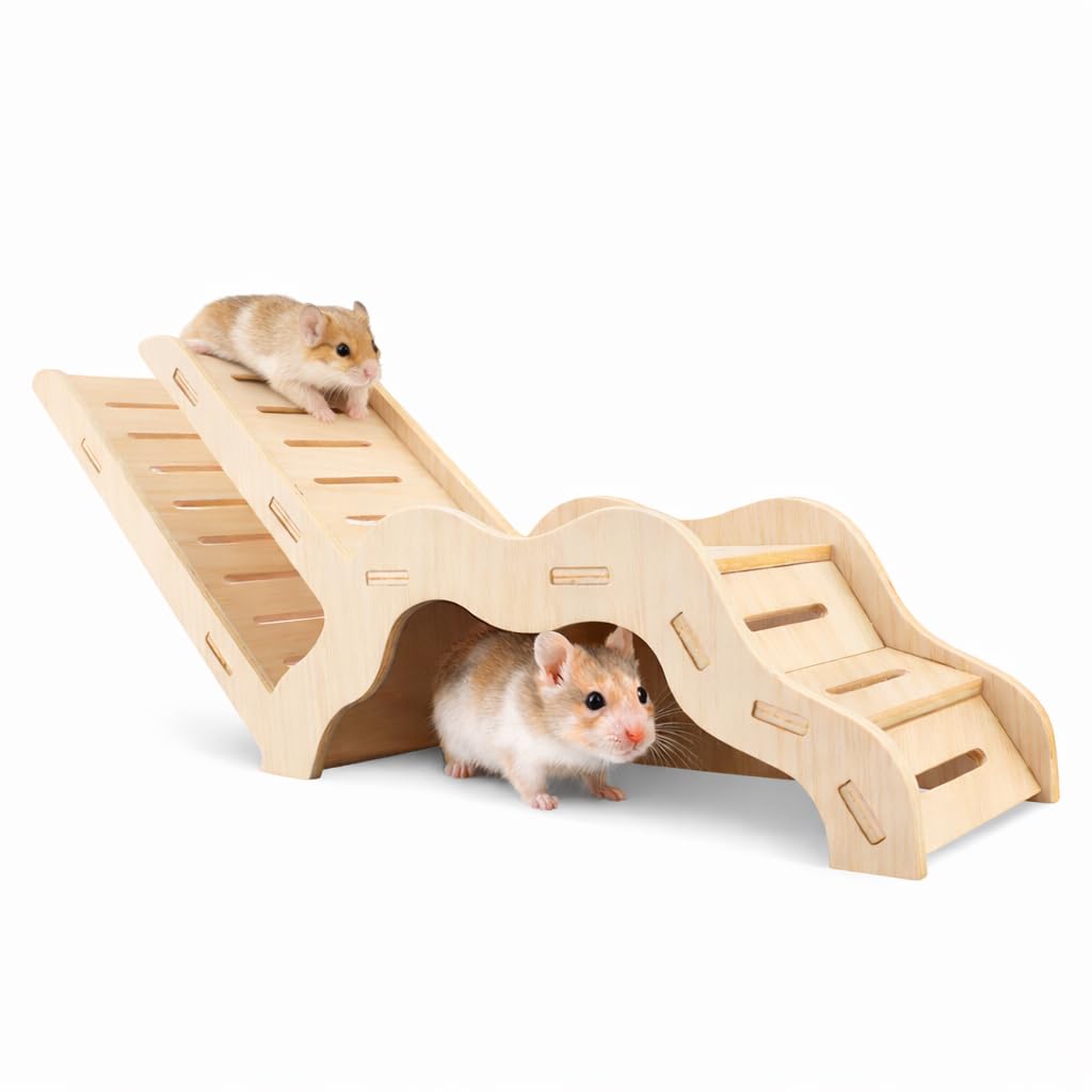 kcrygogo Hamster Explorer: galerie panoramique pour l'exploration en espace naturel.