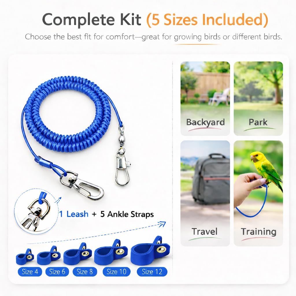 kcrygogo-pack-harnais-perroquet-complet: ensemble complet pour démarrer l’entraînement