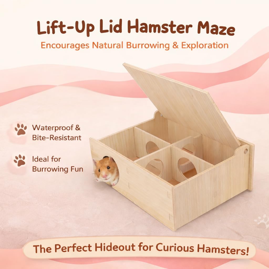 Kcrygogo zone activite hamster, design naturel et stimulation.