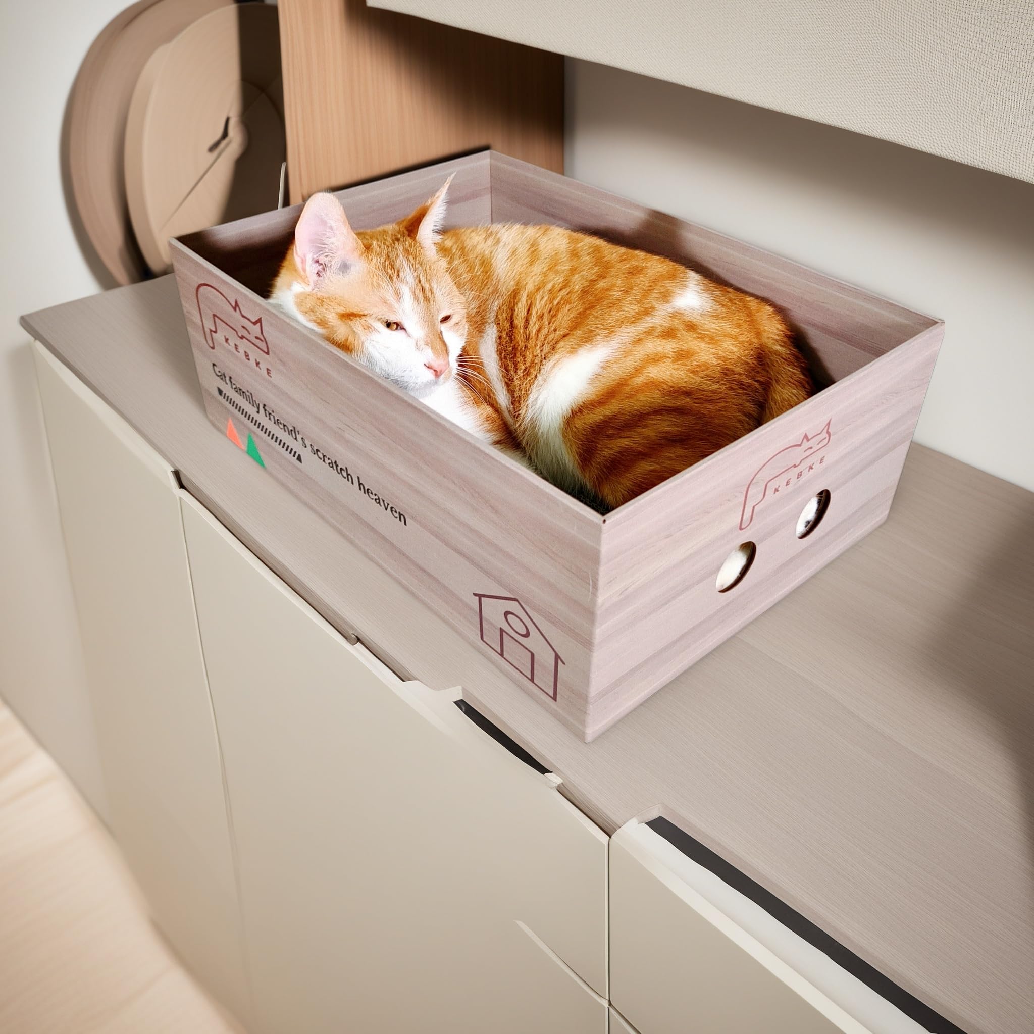 KEBKE chat dans grattoir lounge, espace privé et détente pour le chat.
