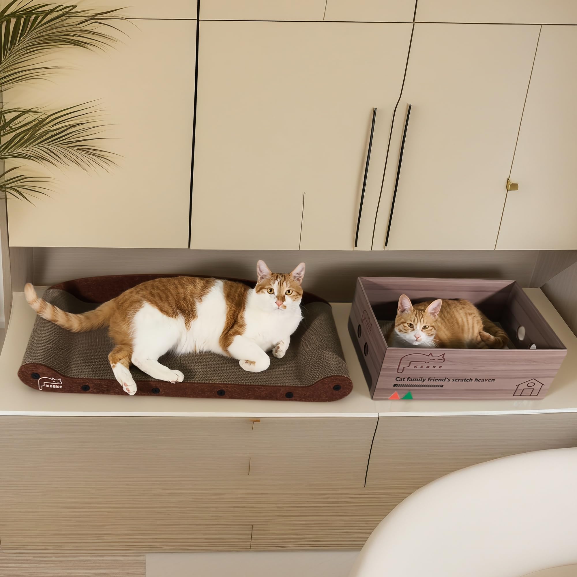 KEBKE design meuble chat moderne, intégration aisée au décor intérieur.