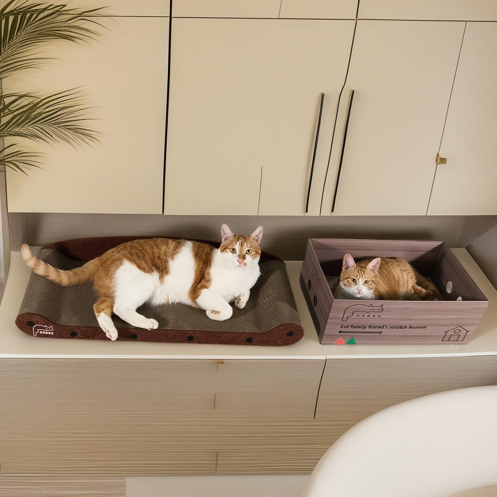 KEBKE design meuble chat moderne, intégration aisée au décor intérieur.