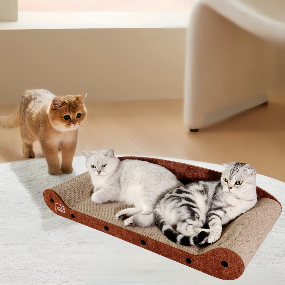KEBKE kit assemblage chat guide, montage rapide avec outil inclus.