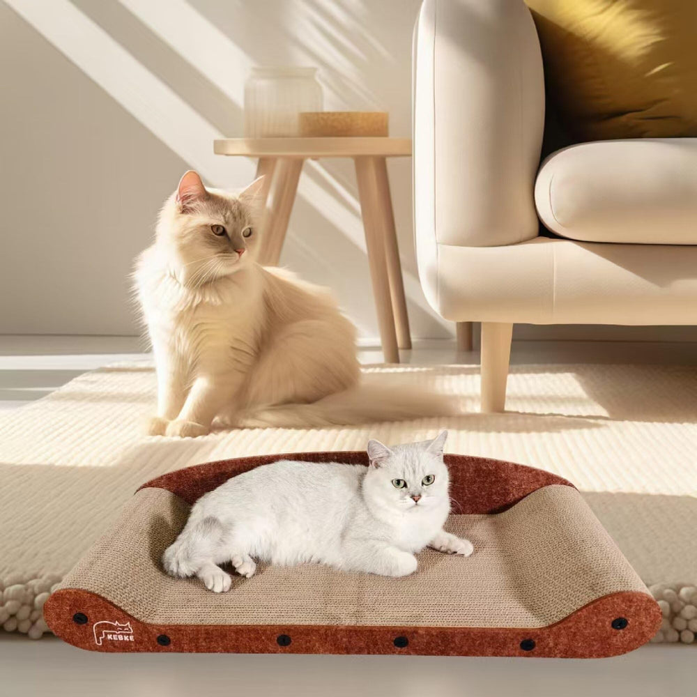 KEBKE transat chat pour plusieurs chat, idéal pour deux compagnons.