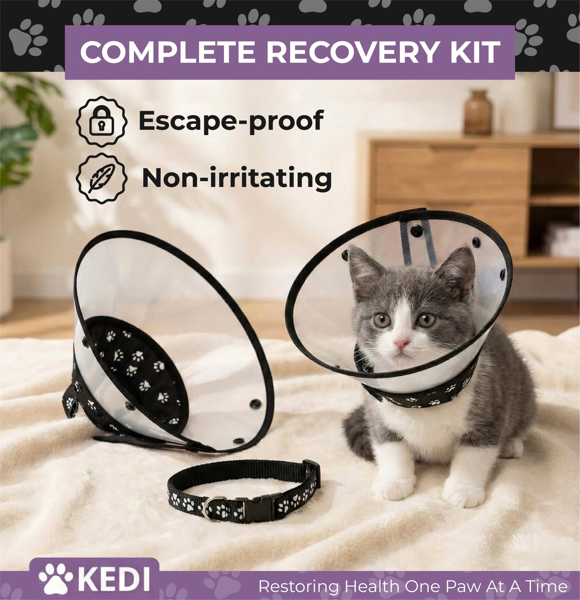 Accès nourriture et eau facilité avec le cône Kedi Cats Solutions.