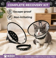 Accès nourriture et eau facilité avec le cône Kedi Cats Solutions.