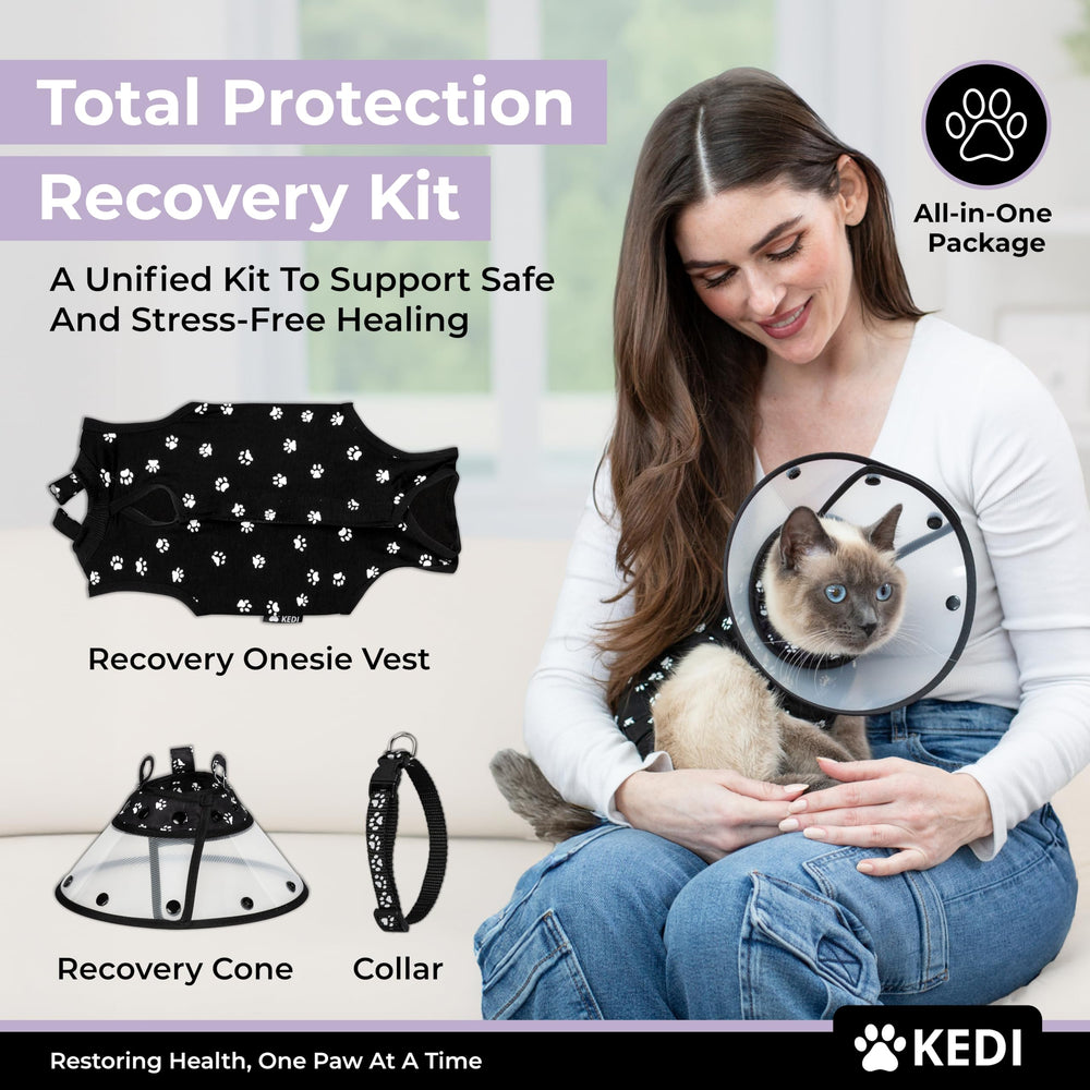 Ajustement taille sûr avec Kedi Cats Solutions