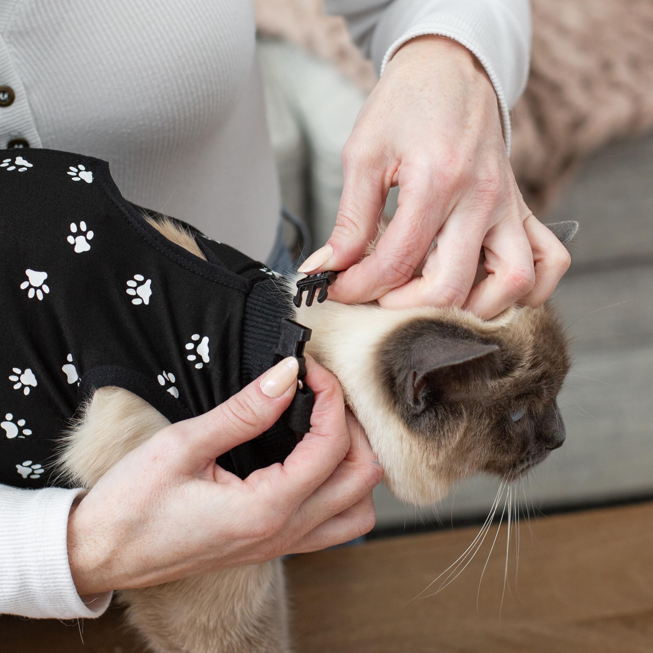 Kedi Cats Solutions: couleur noire discrète adaptée à la vie quotidienne.